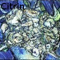 Ione Citrin -  - Oil Painting